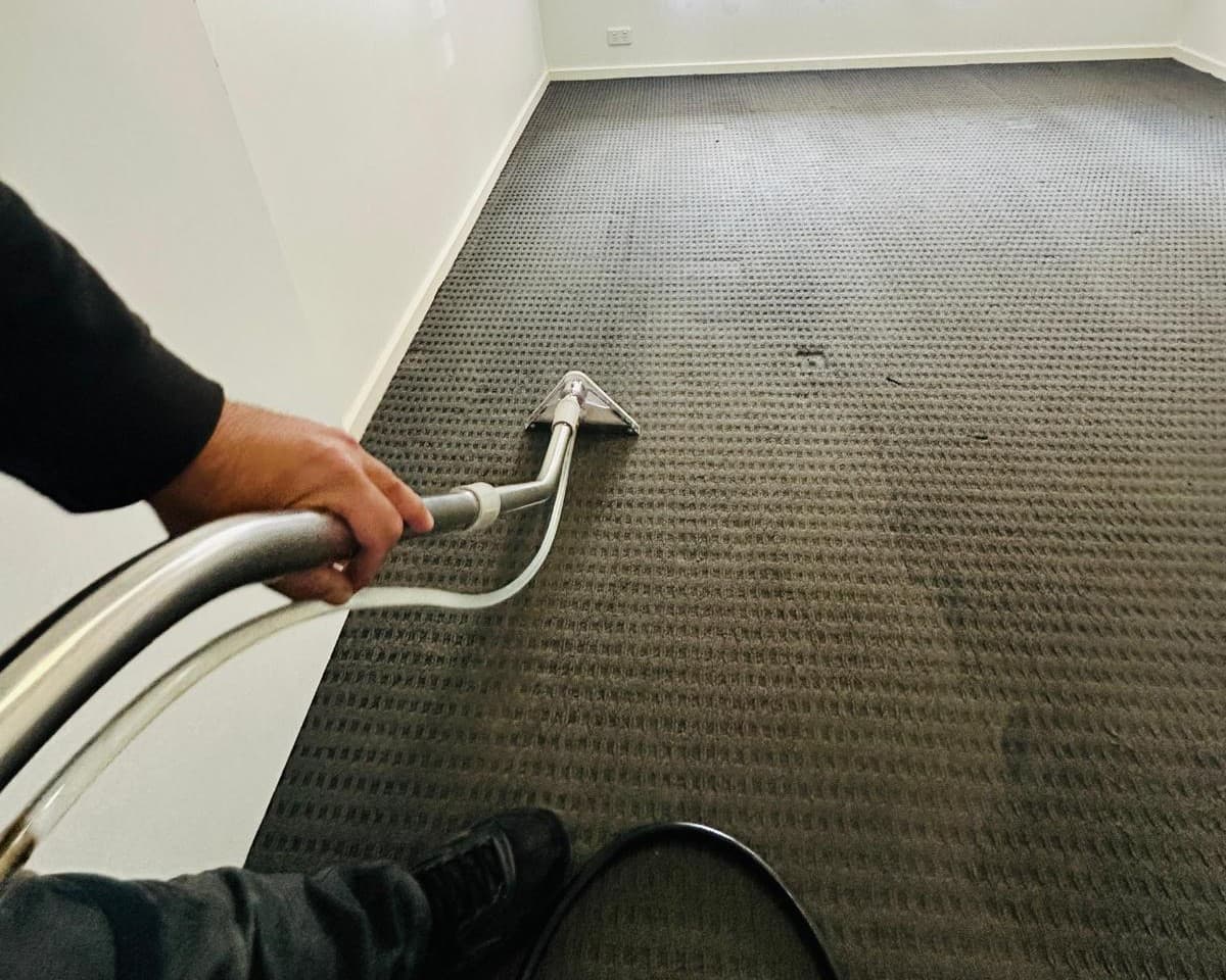carpet steam cleaning